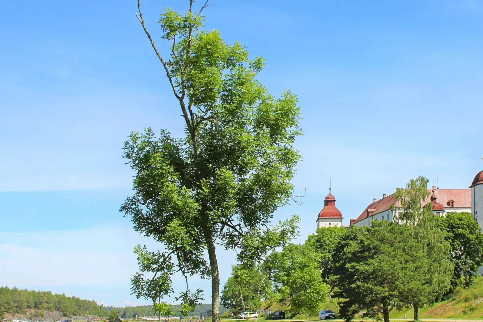 Scenic Lakeside Cottage-By Traum-Not tagged