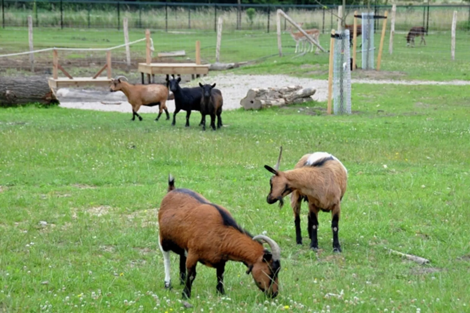 Resort Limburg 7-Park facilities