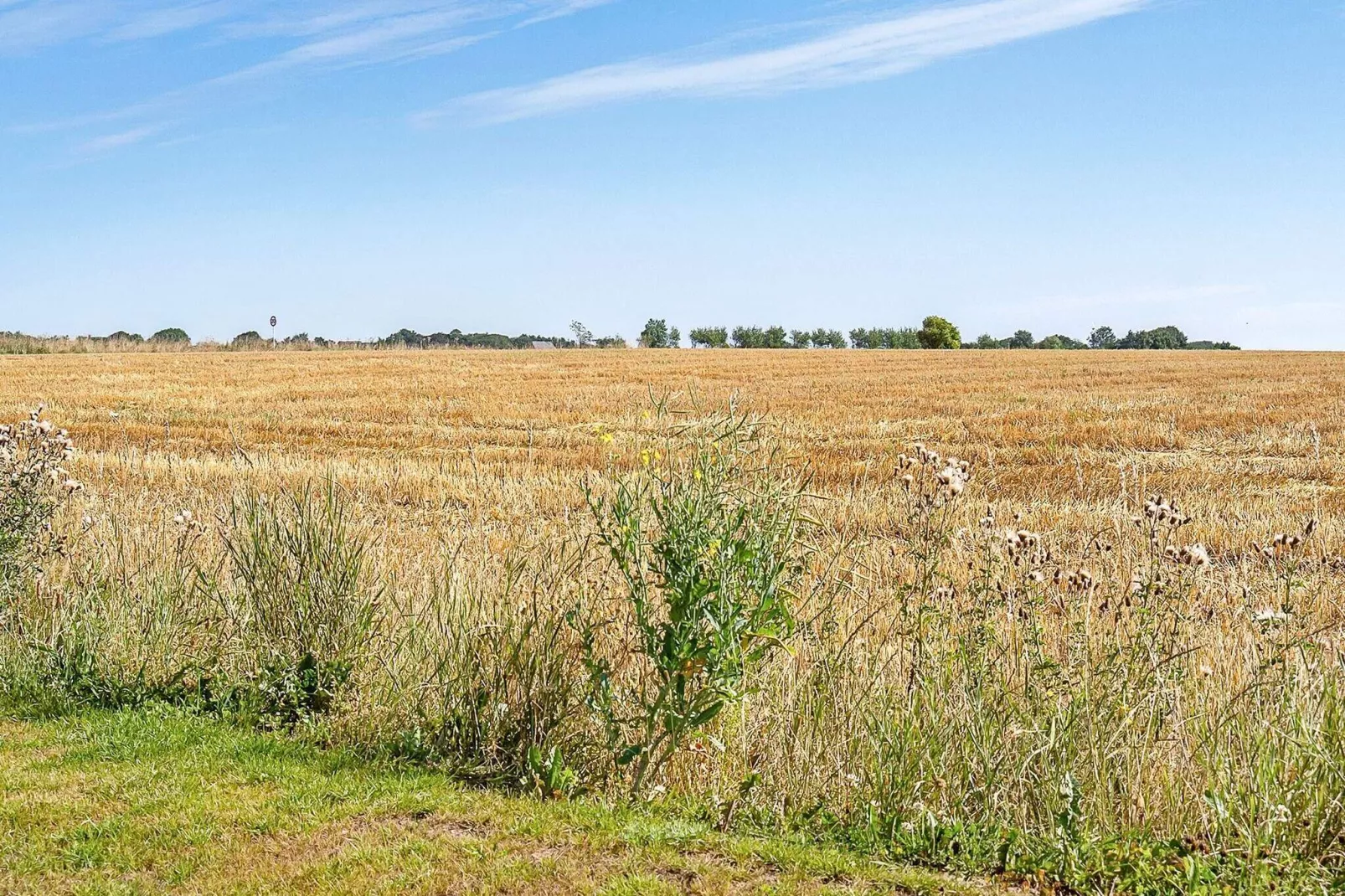 18 person holiday home in Spøttrup-View
