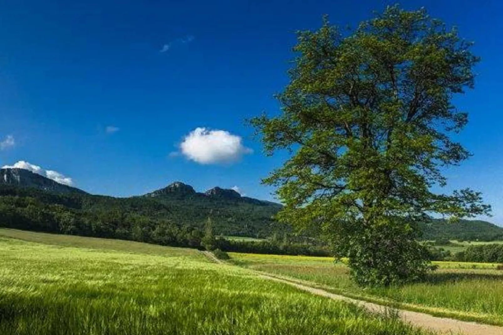 Gite 2 - Pont de Barret 4pers-Areas summer 1km