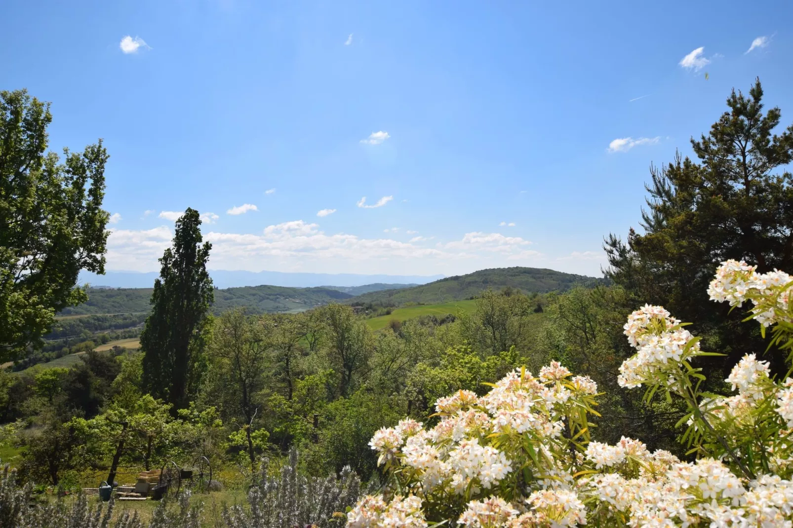 Maison de vacances - BATHERNAY-View summer