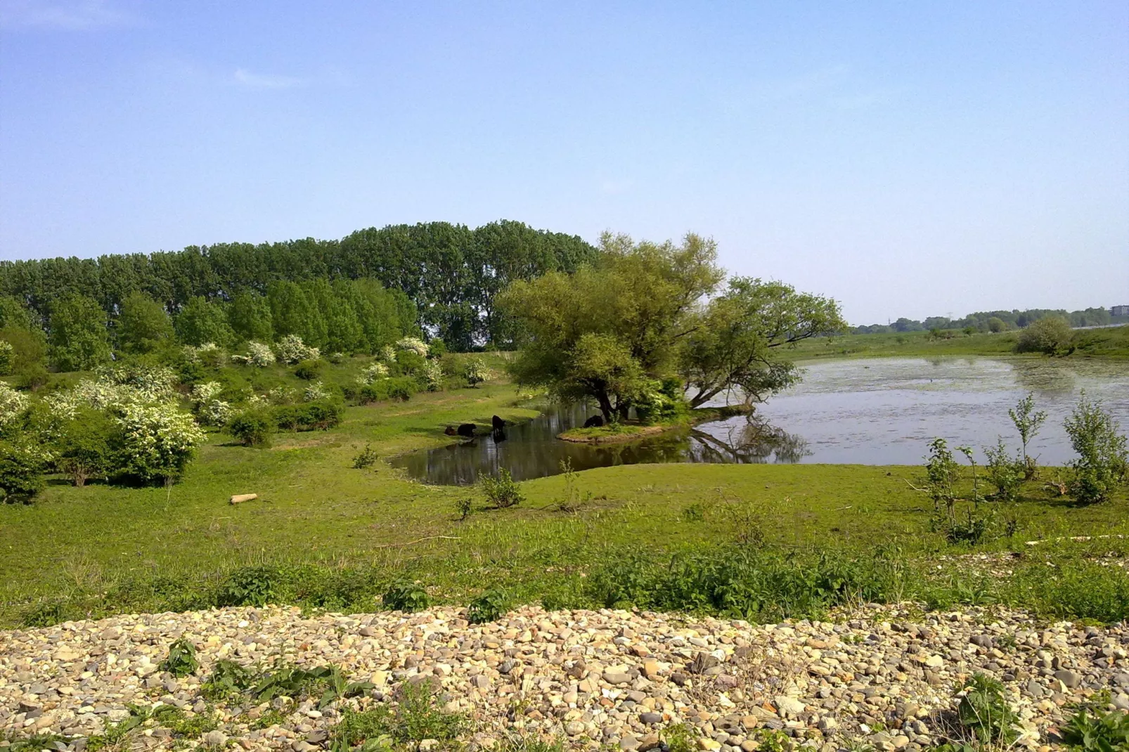 Maasheuvel-Zones d'été à 20 km