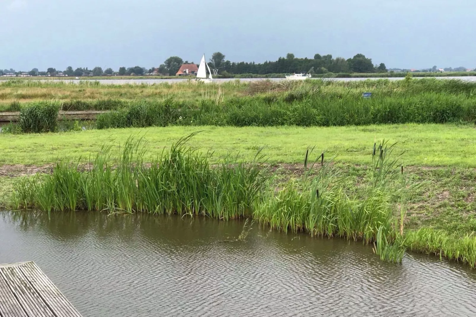 Watervilla de Blauwe Reiger-Gärten Sommer