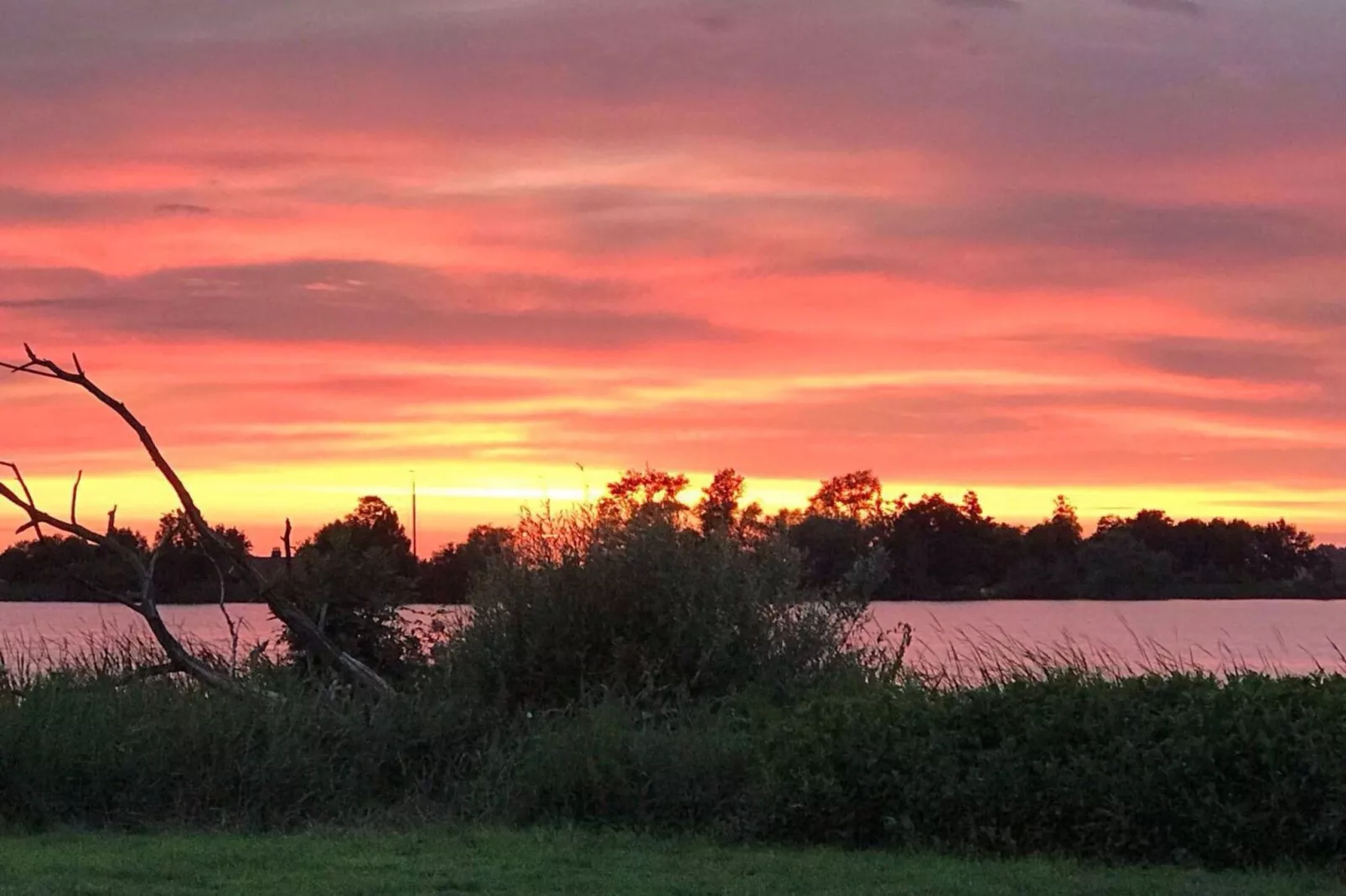 Watervilla de Blauwe Reiger-Aussicht Sommer