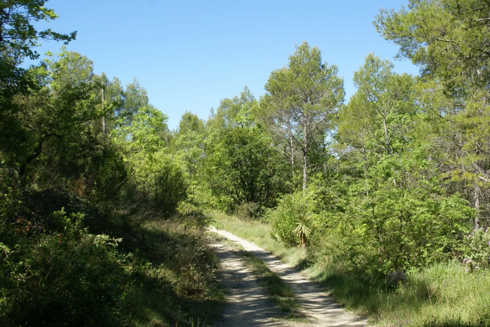 La Chiroquoise-Gardens summer