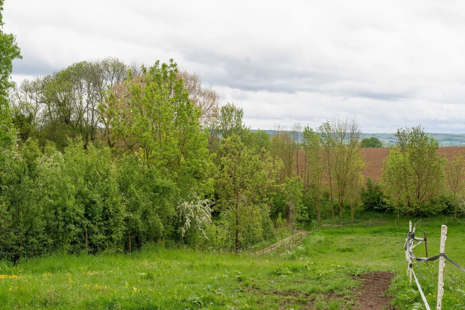 Valleyview Cottages - NR14-Areas summer 1km