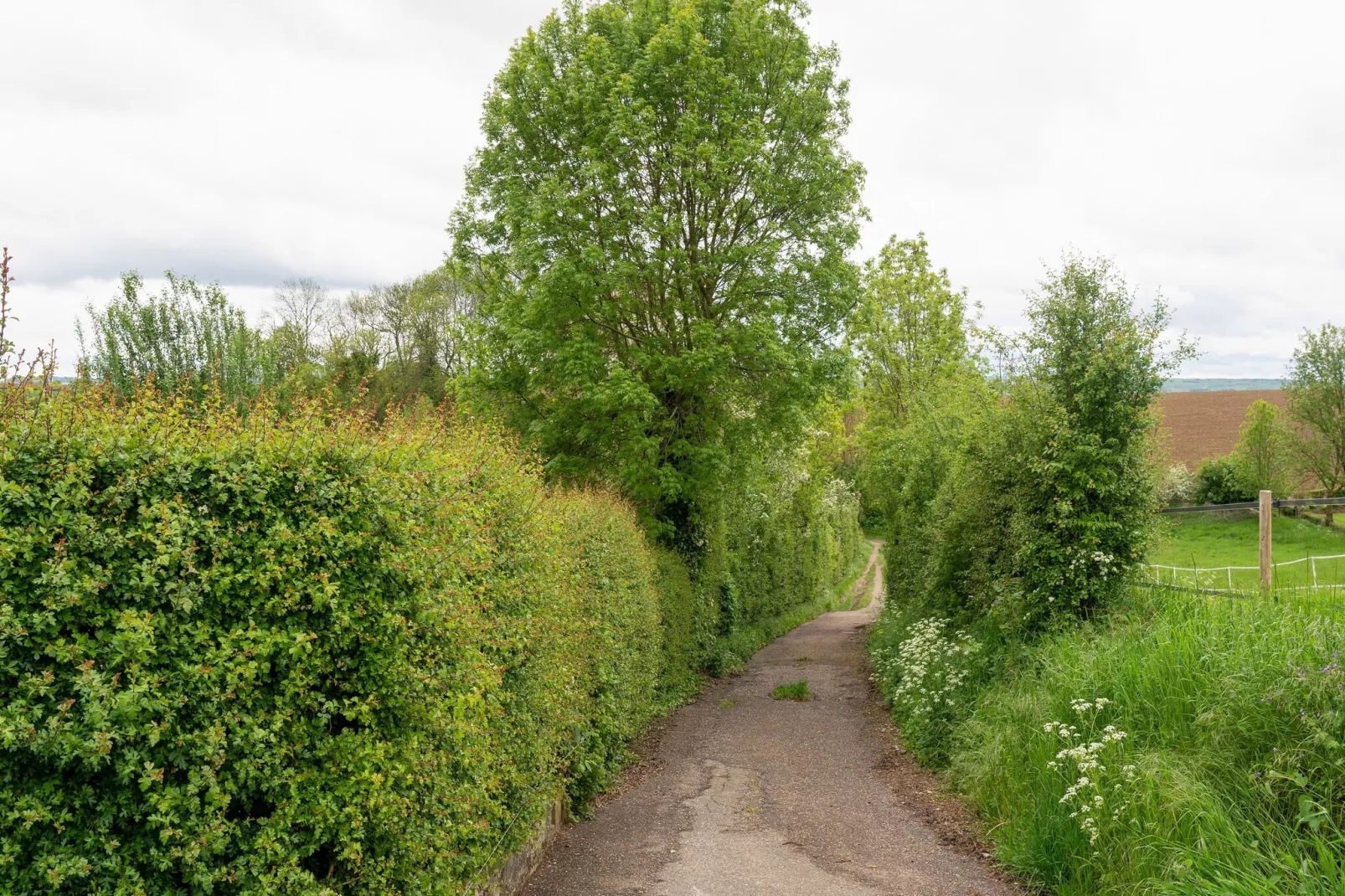 Valleyview Cottages - NR14-Areas summer 5km