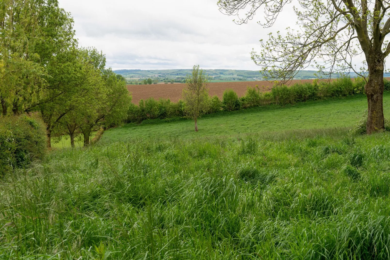 Valleyview Cottages - NR14-Areas summer 5km