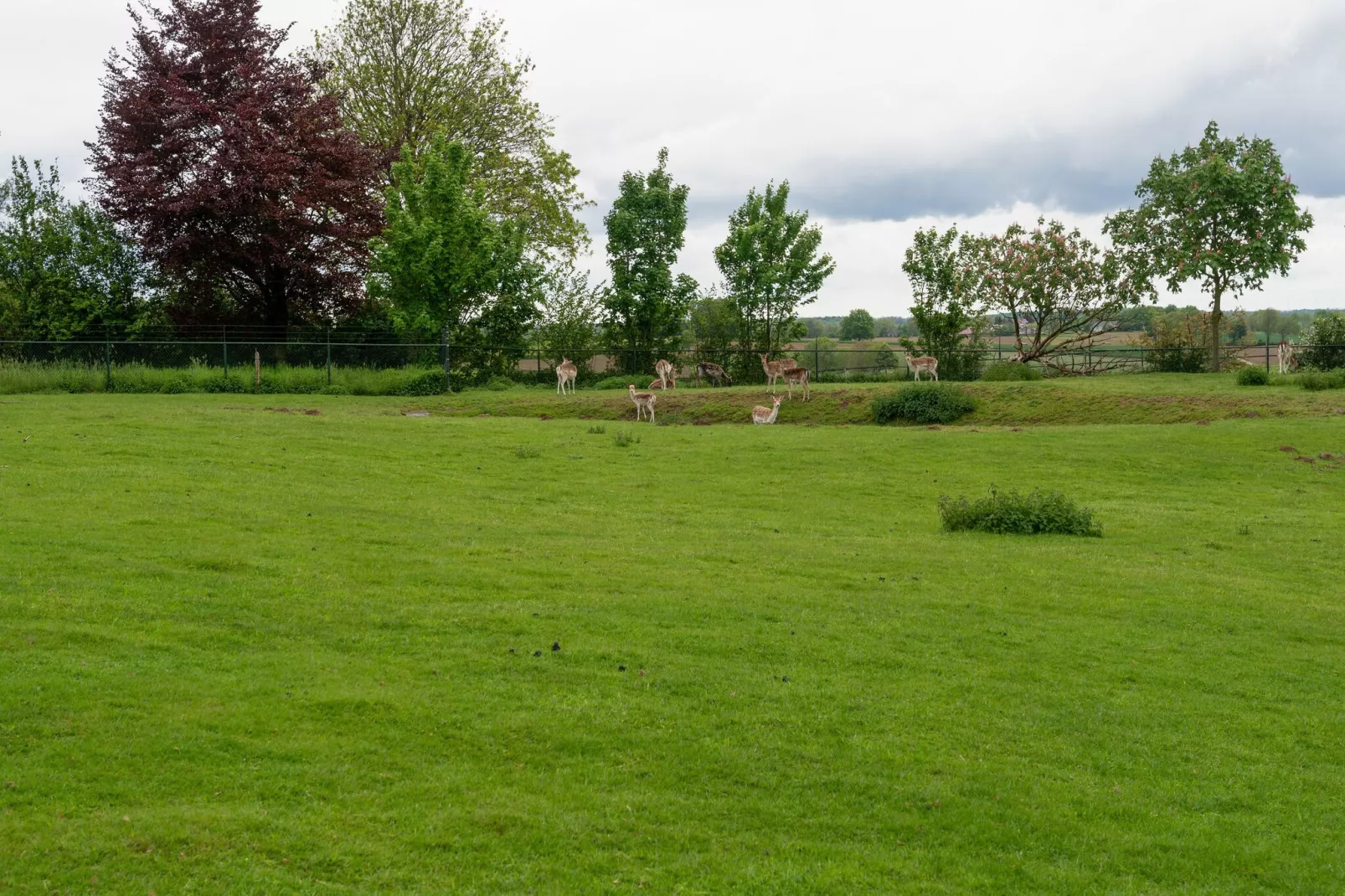 Valleyview Cottages - NR15-Gardens summer