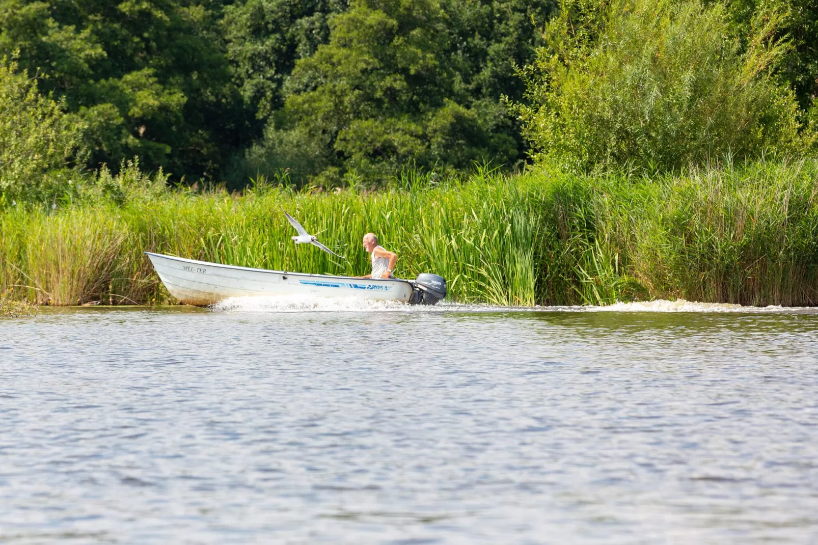 Vakantiepark Giethoorn 8-Areas summer 5km