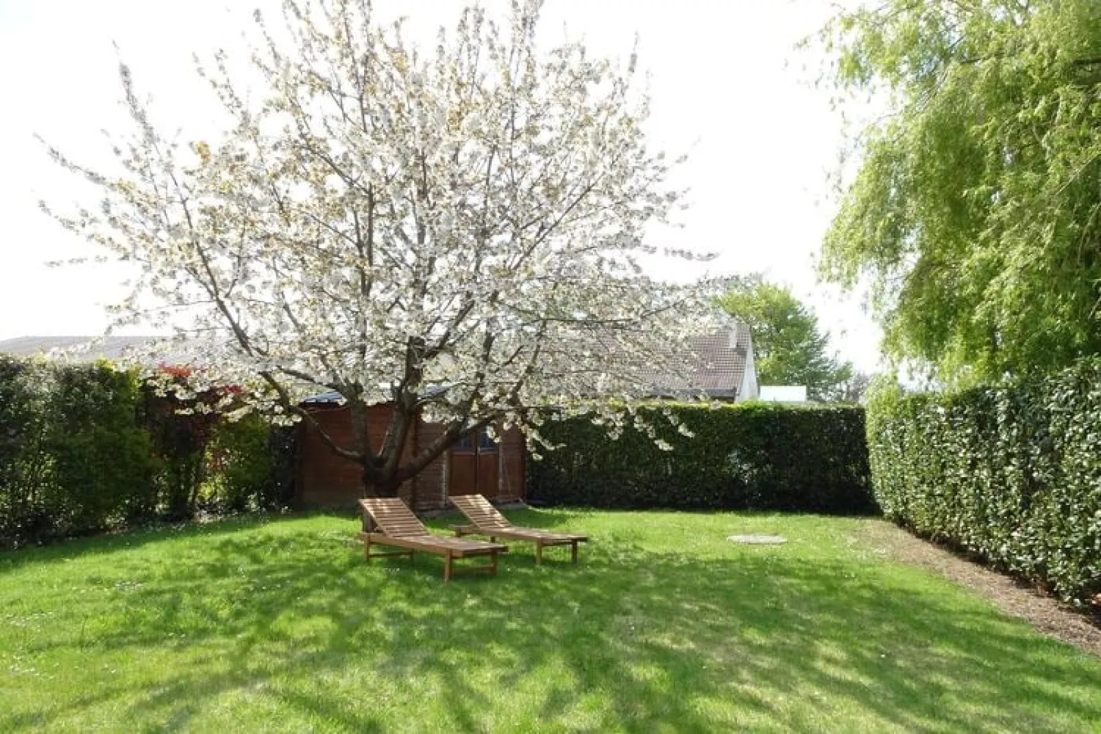 Semi-detached house Bréhal-Gardens summer