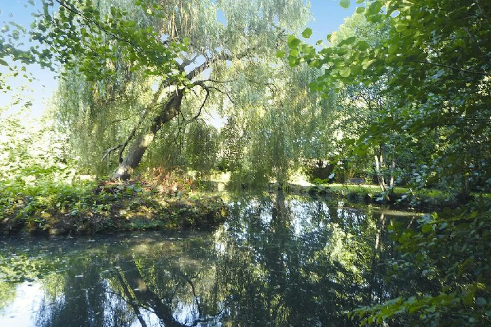 Semi-detached house St Sauveur-le-Vicomte-Gardens in summer
