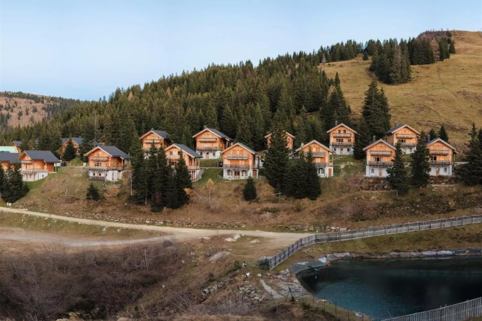 Koralpe - Enzian/Almrausch