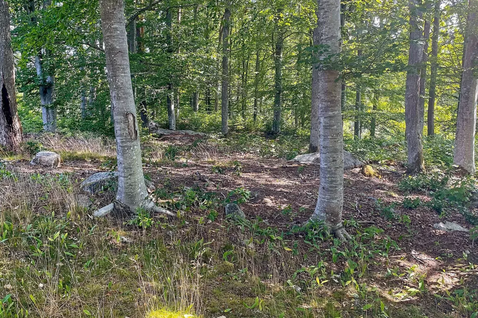 4 Personen Ferienhaus in öRSJö-By Traum-Nicht getaggt