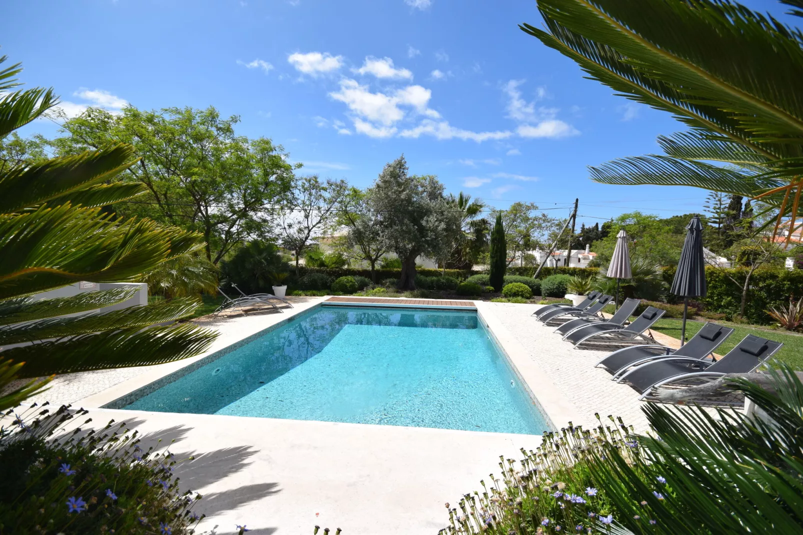 Villa Jeleza-Piscine