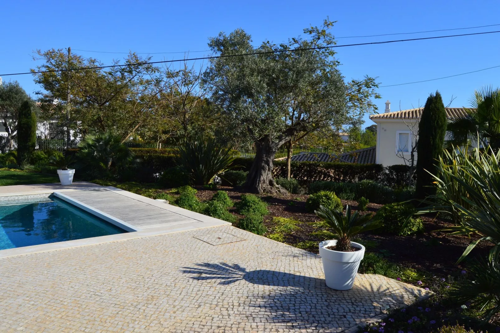 Villa Jeleza-Jardin d'été