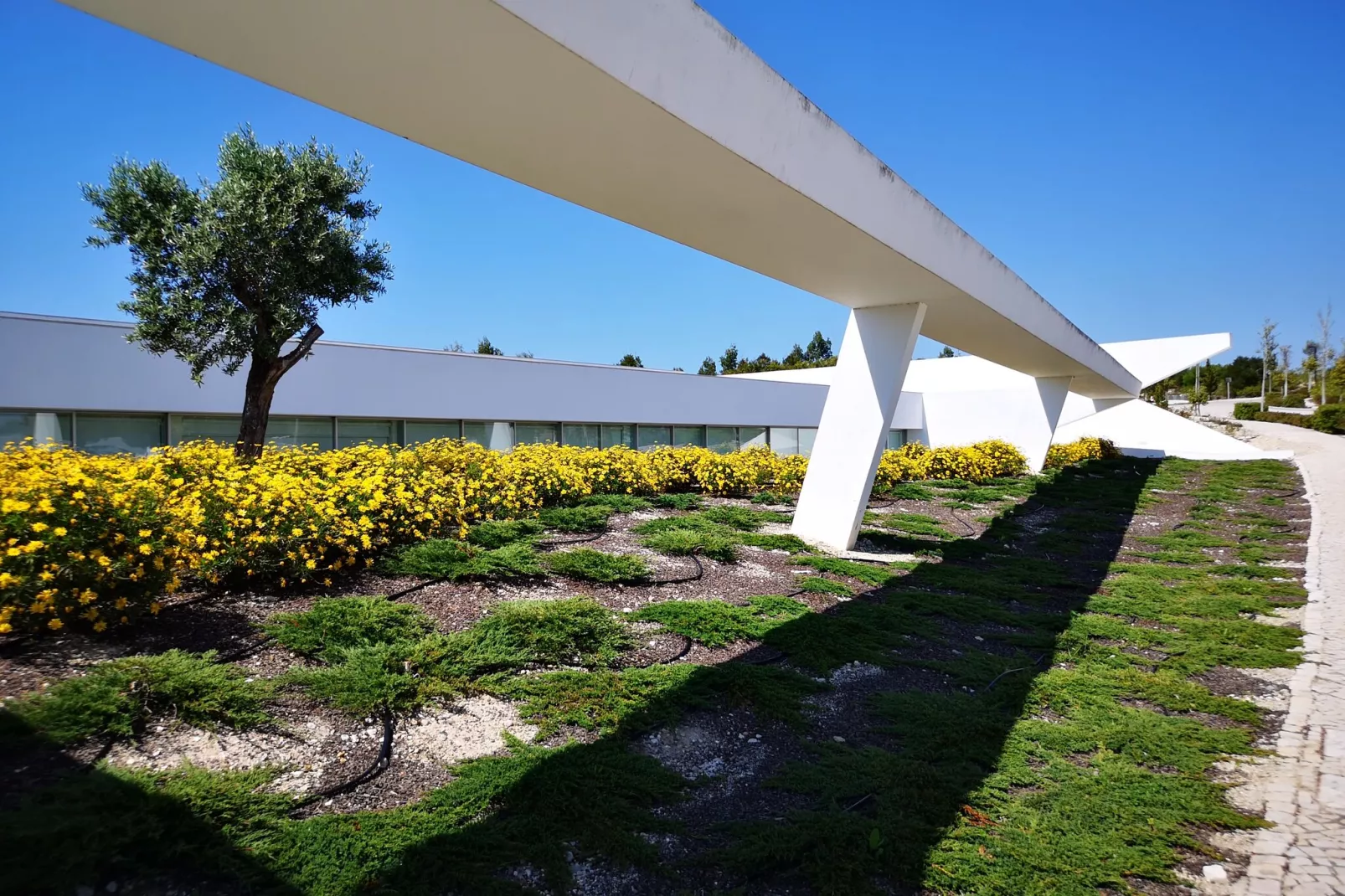 Villa Gonzalo-Gärten Sommer