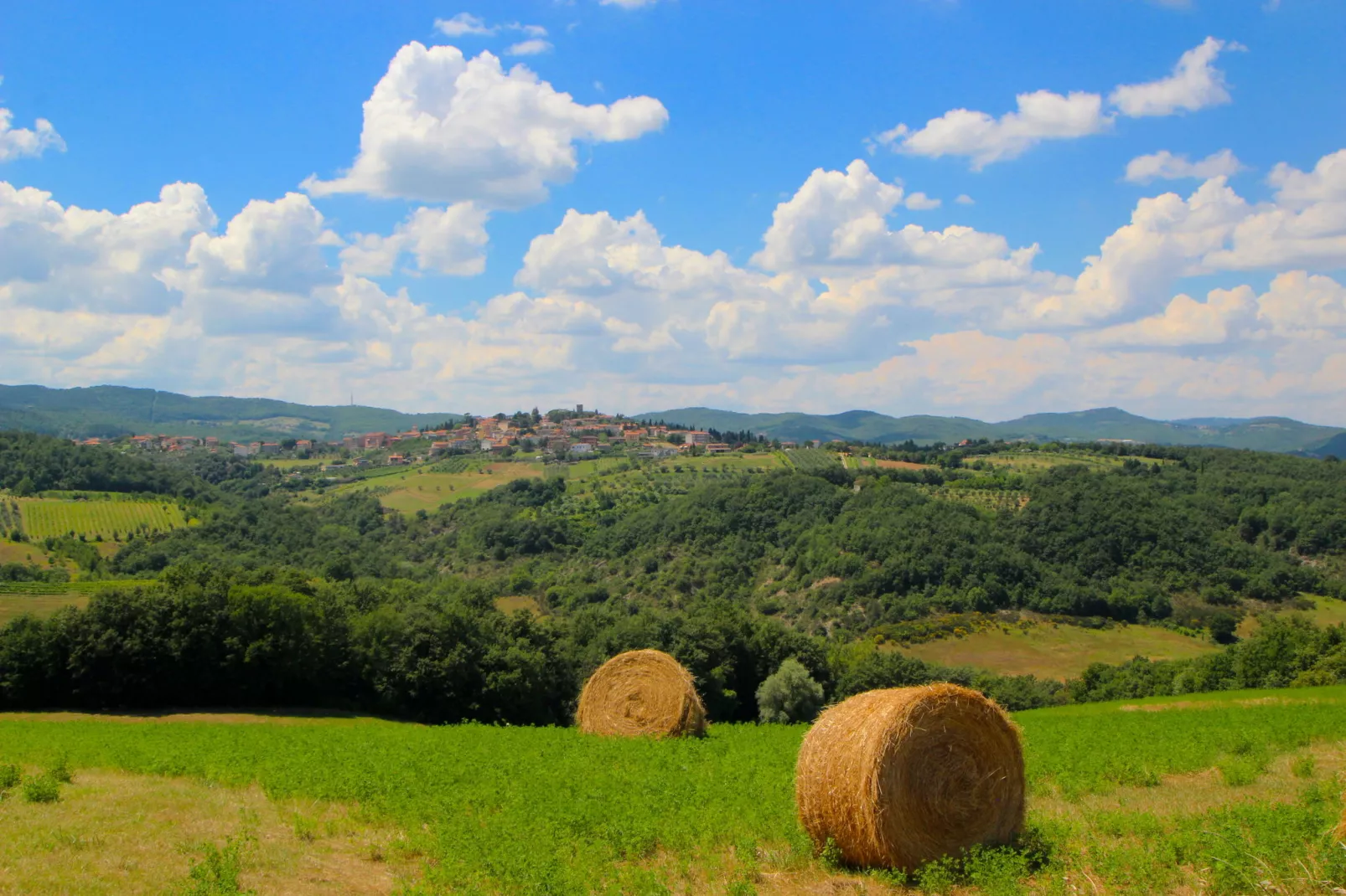 Villa Fiorella Dieci-Aussicht Sommer