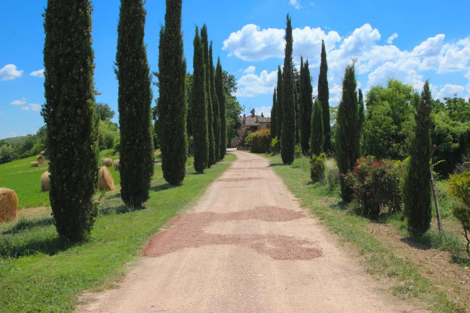 Villa Fiorella Dieci-Gebiete Sommer 1 km