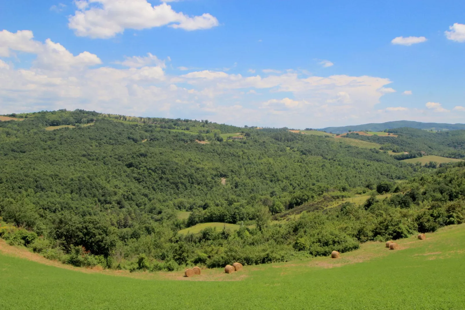 Villa Fiorella Dieci-Gebiete Sommer 1 km