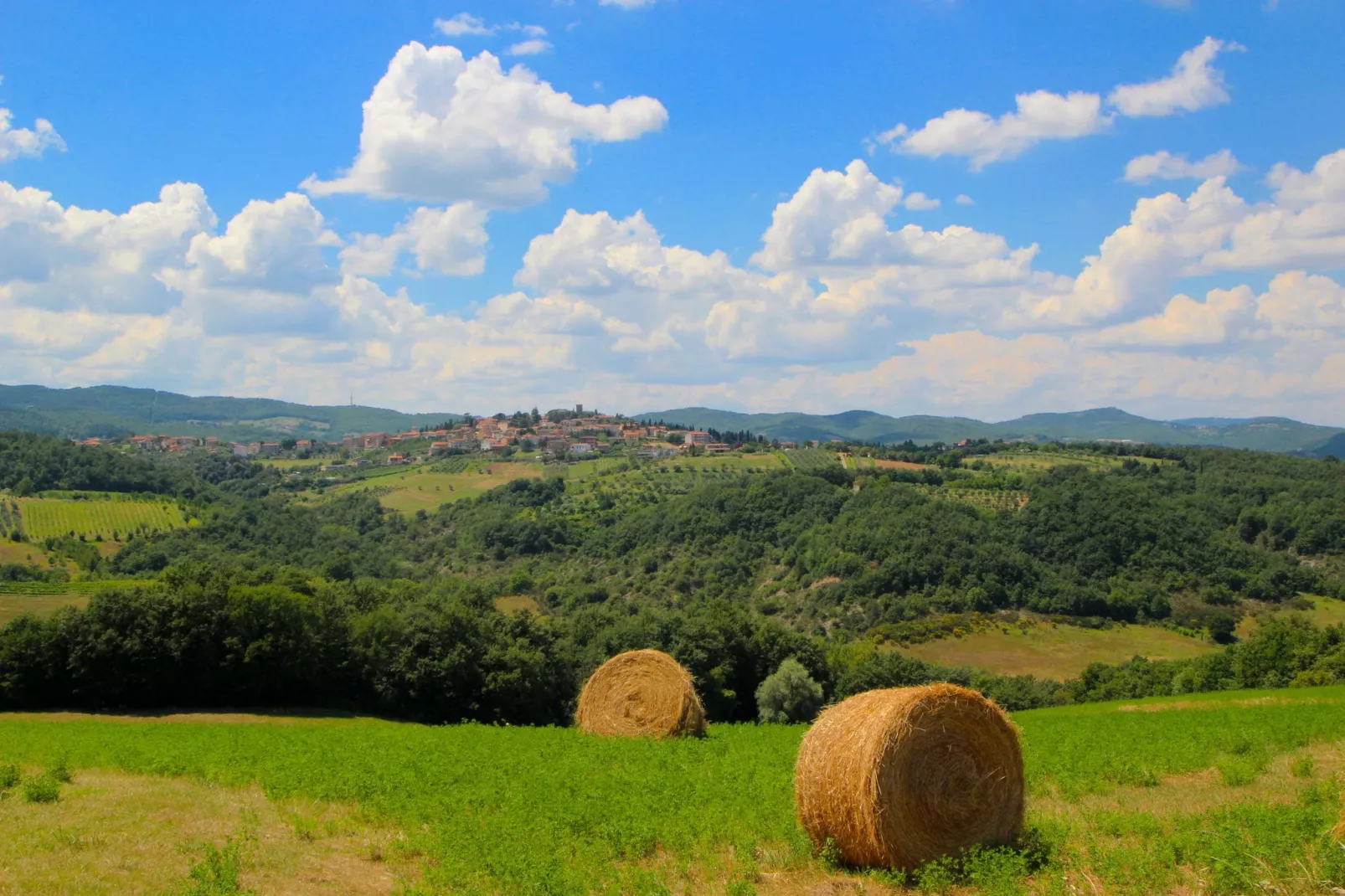 Villa Fiorella Cinque-Vue d'été