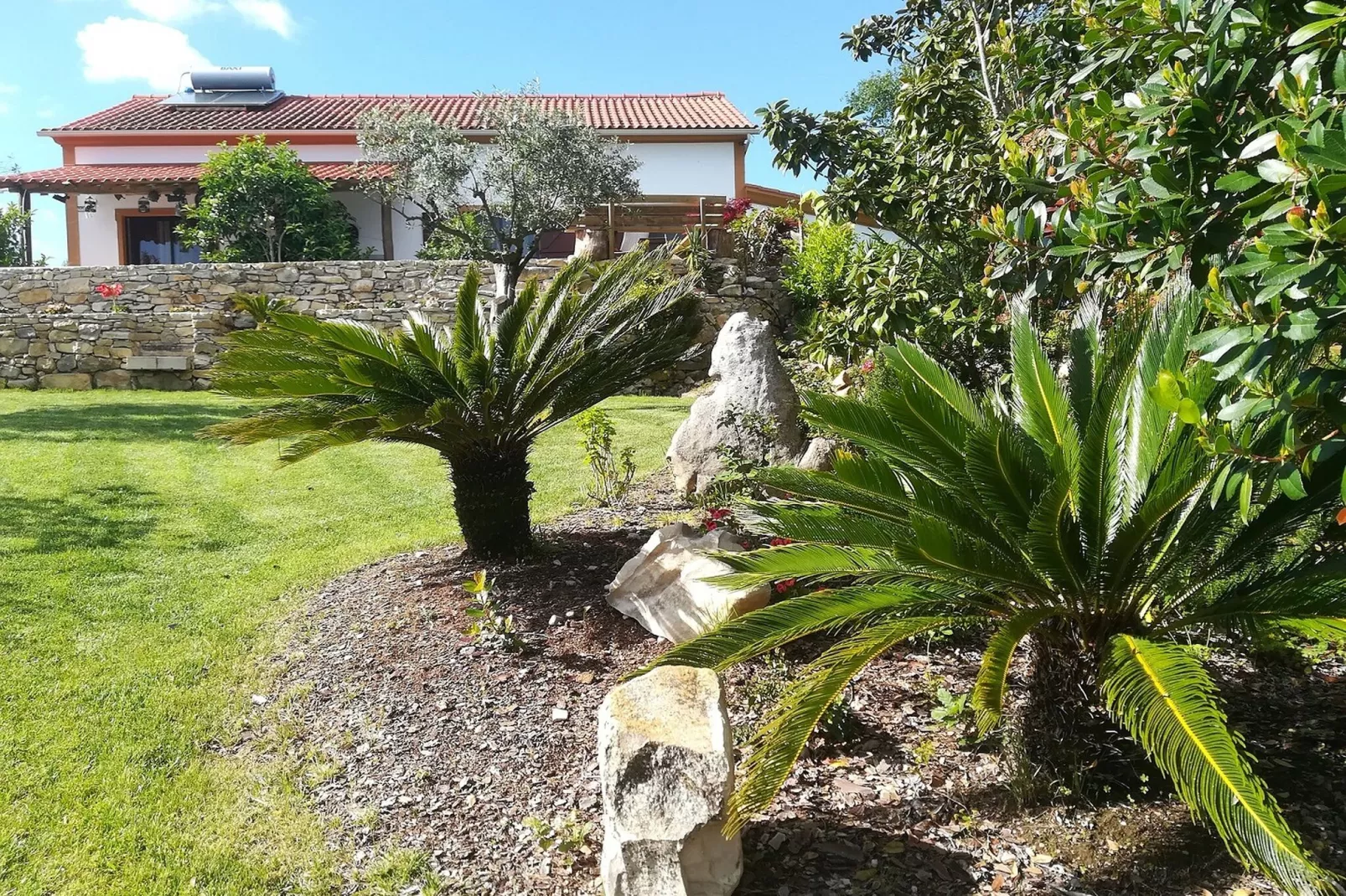 Casa da Passarinha-View summer