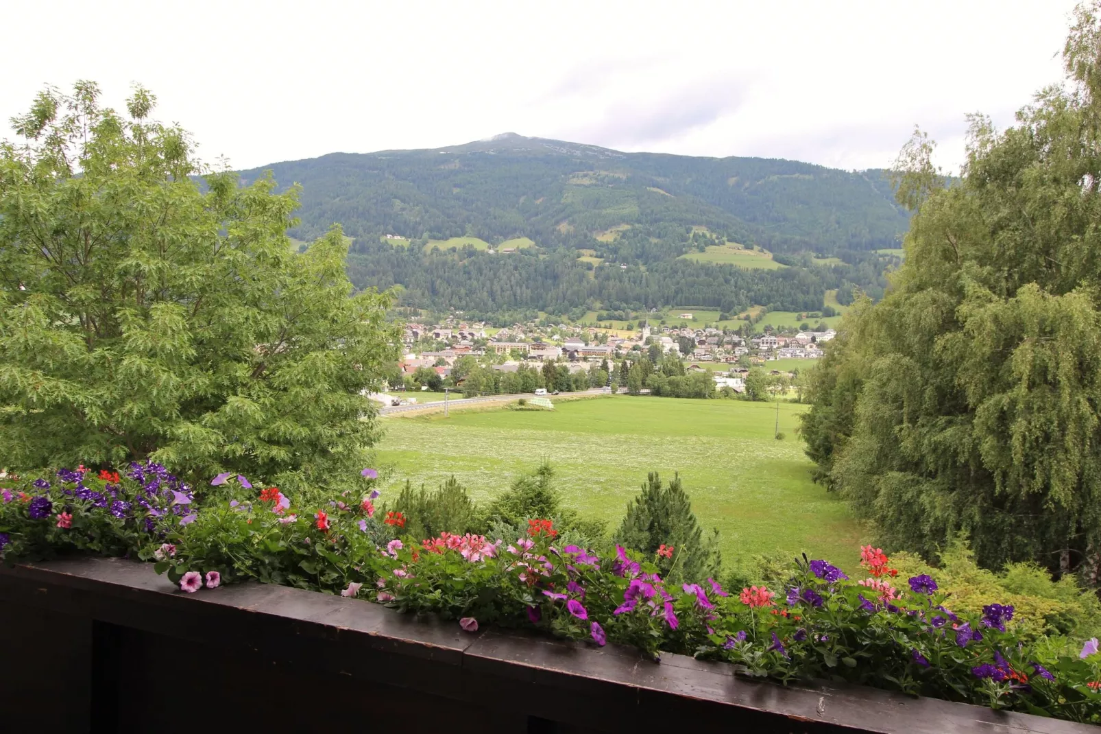 Corinna-View summer