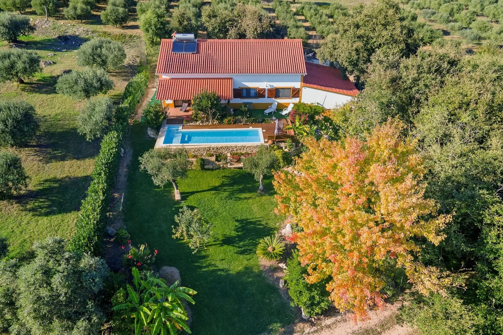 Casa da Passarinha-Atmosphere