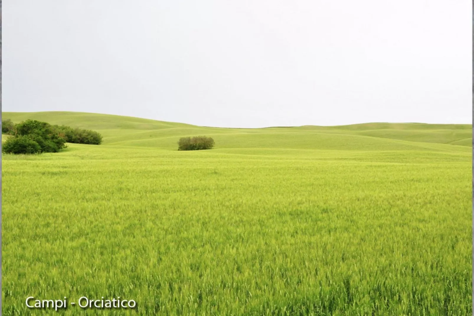 San Francesco Tre-Areas summer 1km