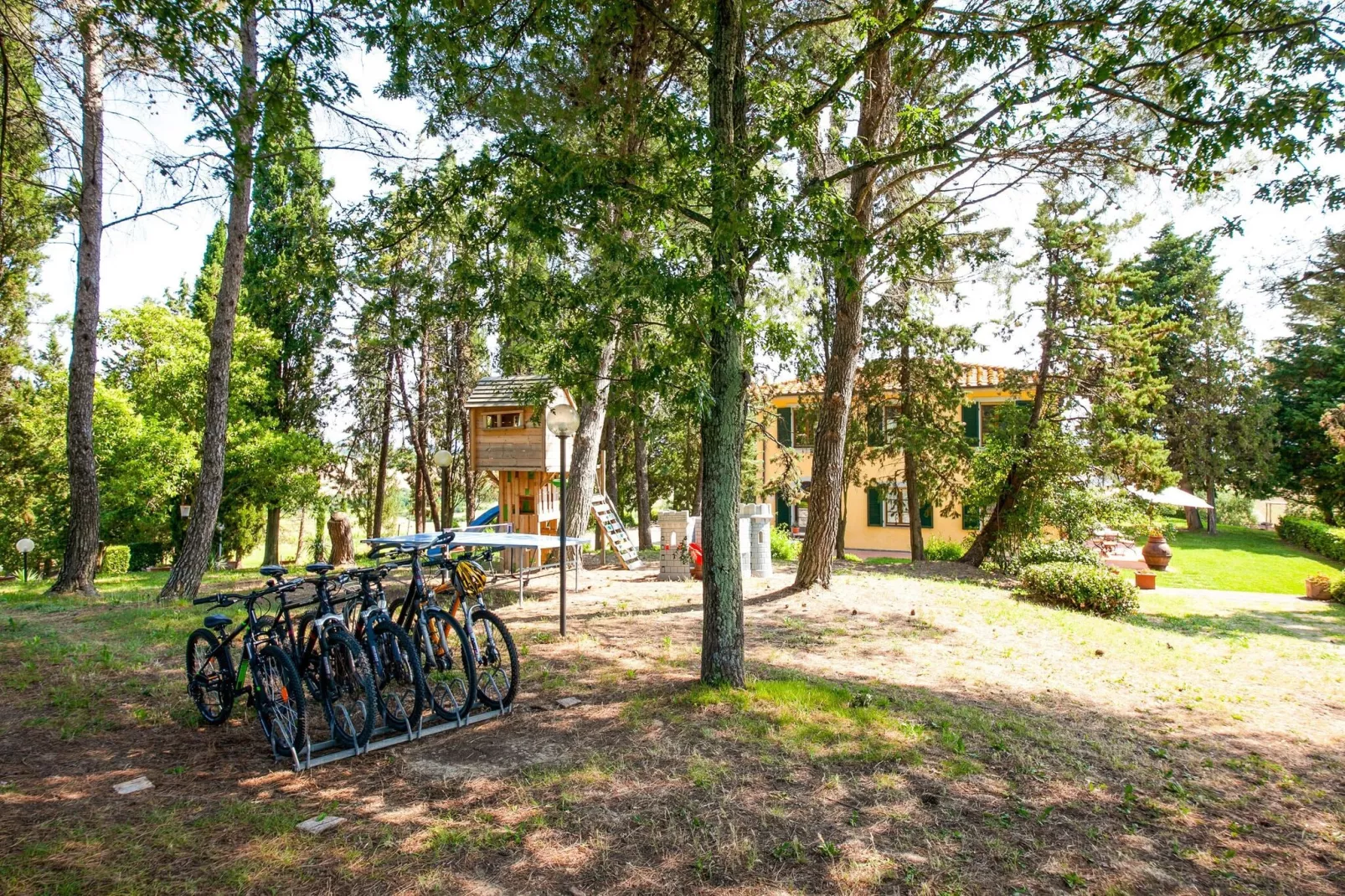 San Francesco Sangiovese-Facilities