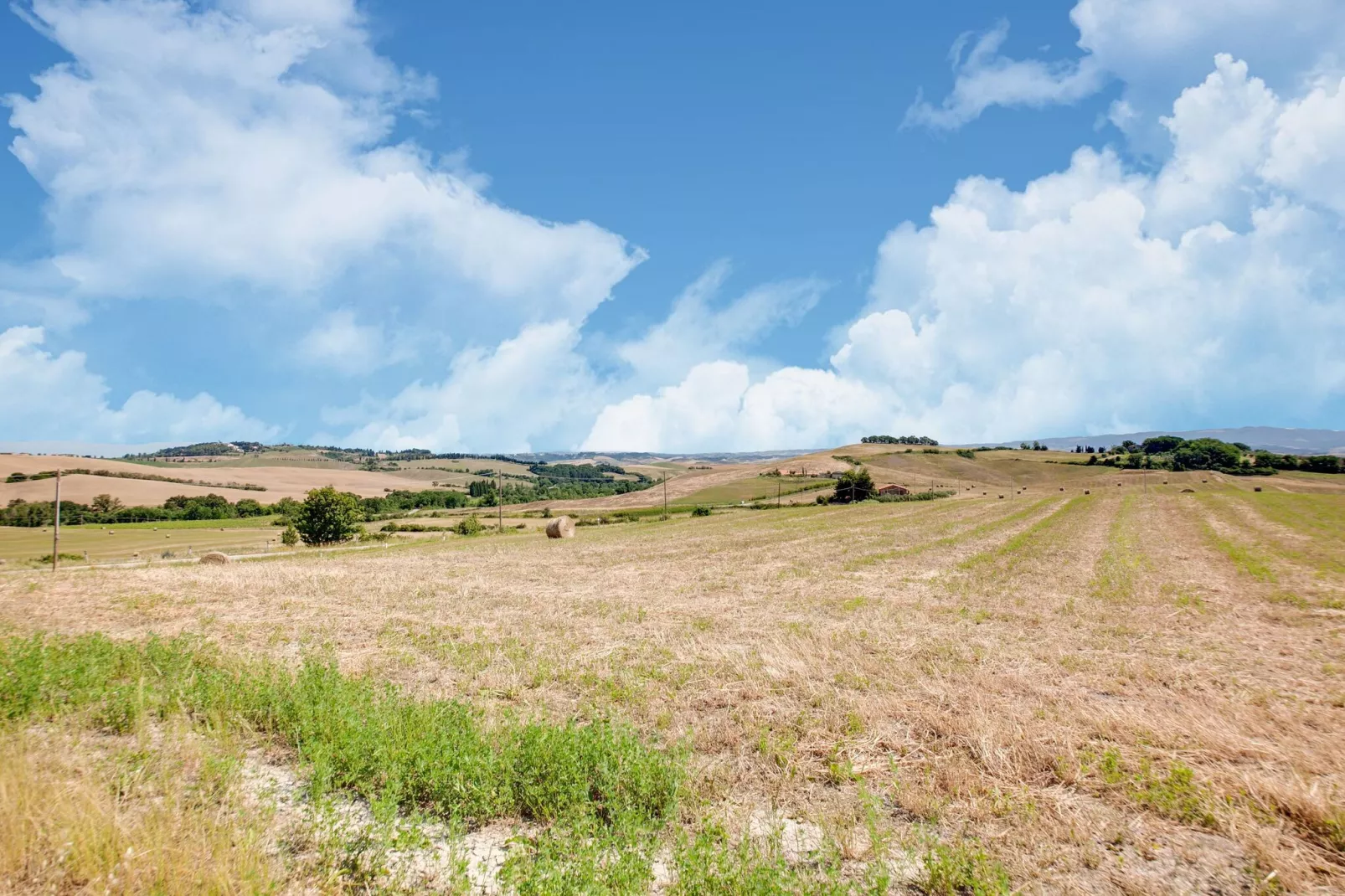 San Francesco Vermentino-Areas summer 1km