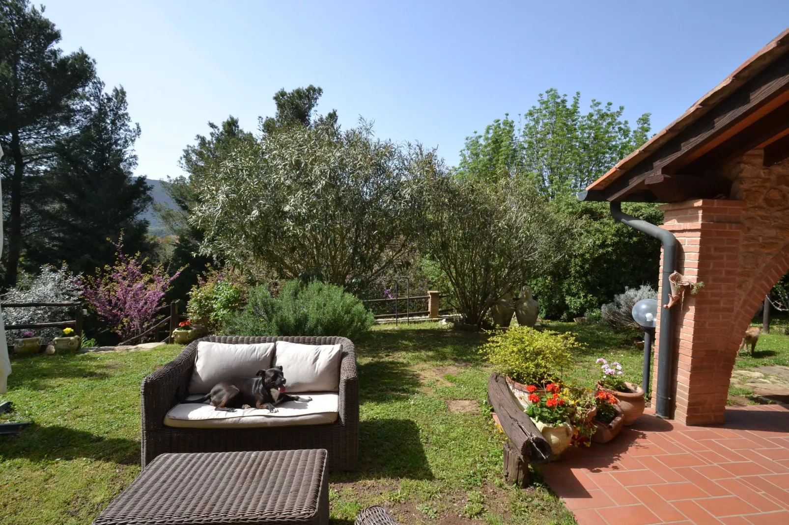 Villa Max-Gardens summer