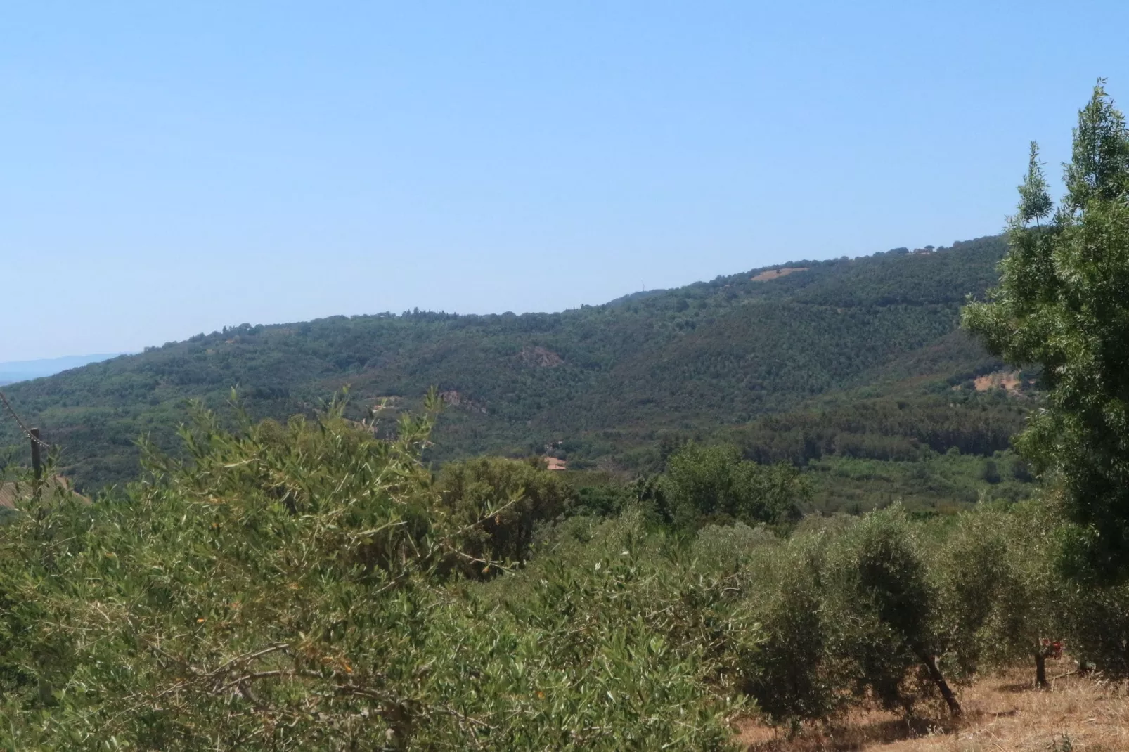 Villa Max-Areas summer 1km