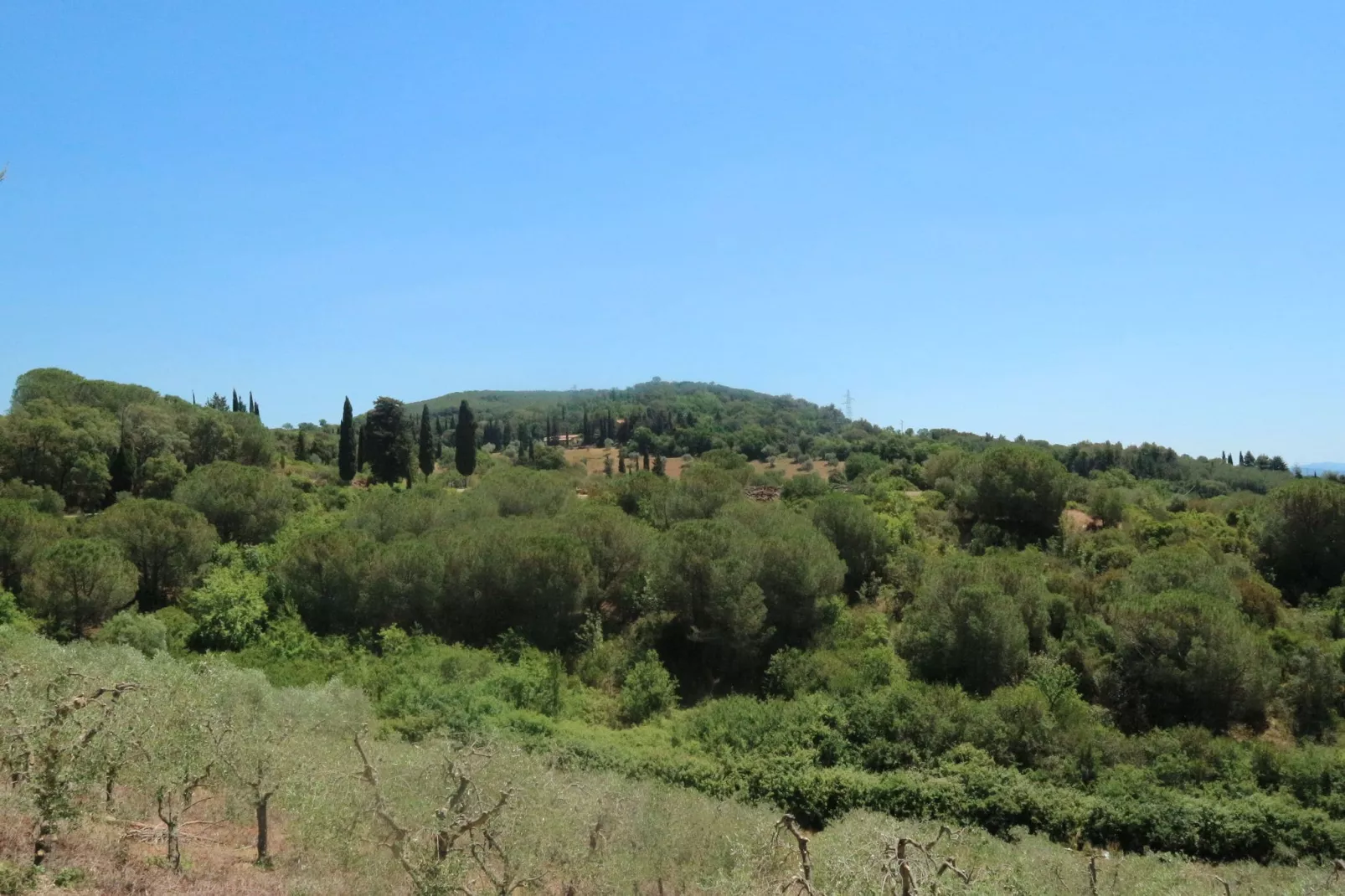 Villa Max-Areas summer 5km