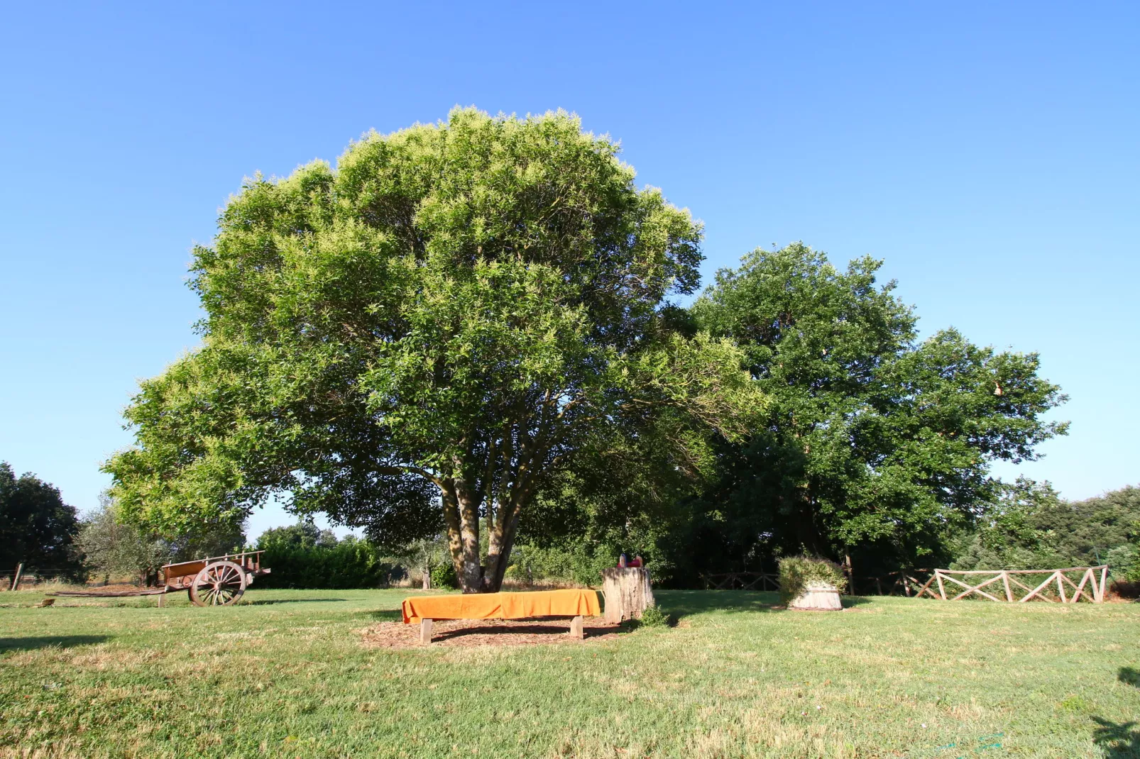 Sorano-Gardens summer