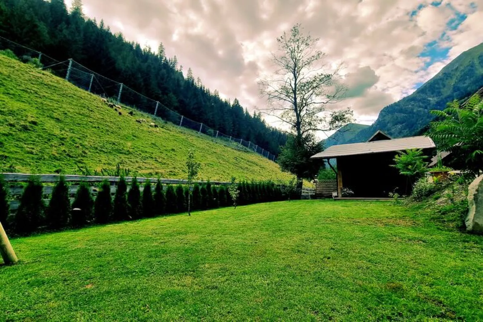 Ferienhaus Krapflgeusche-Gardens summer