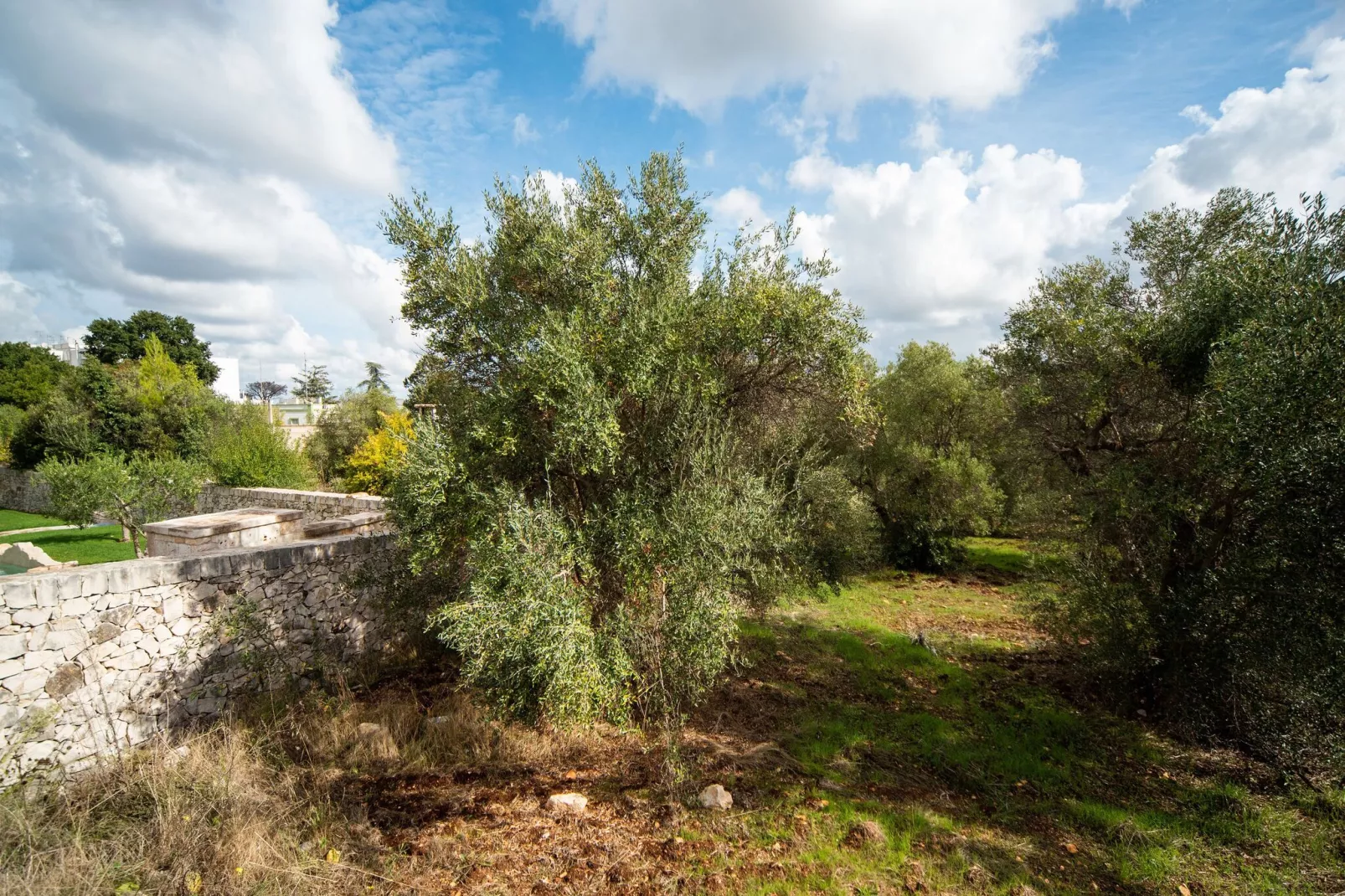 Trullo dell'Ulivo per Tre-View summer