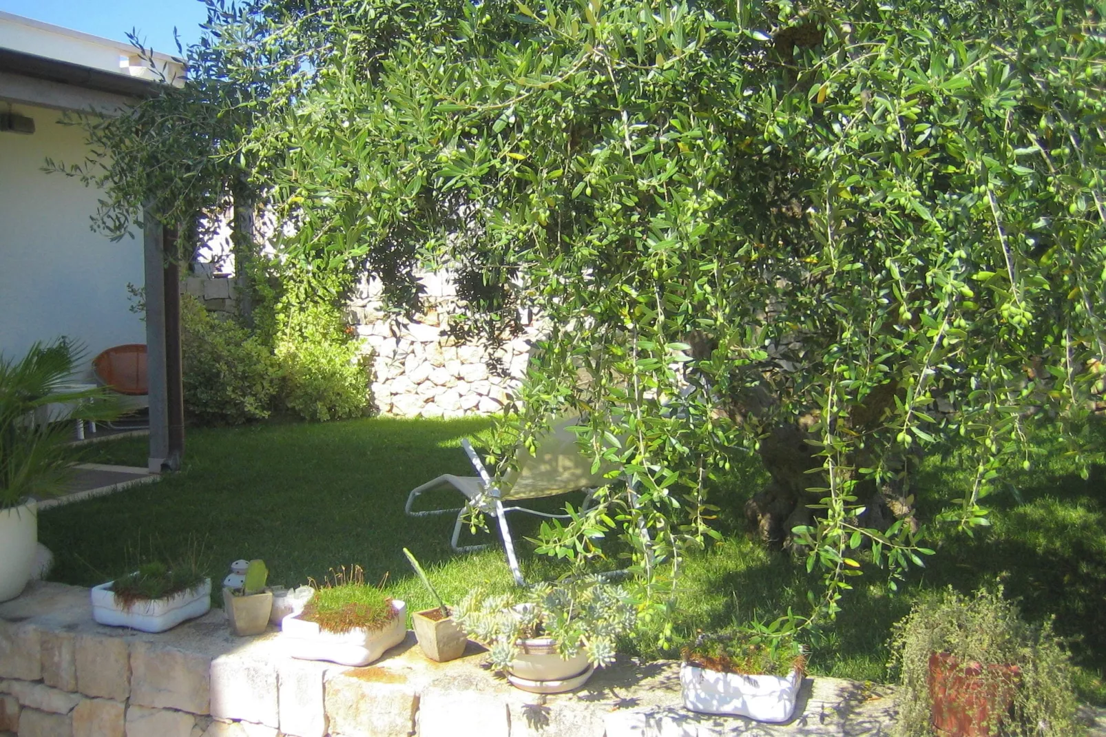 Trullo dell'Ulivo per Due-Gardens summer