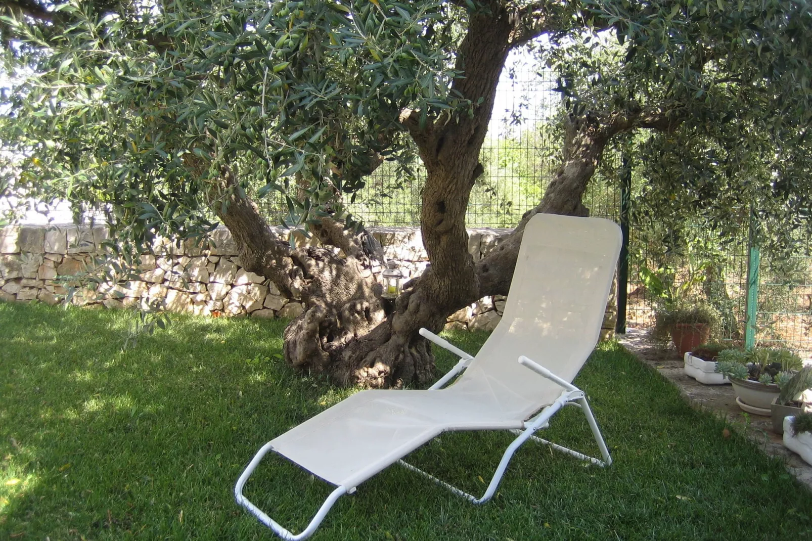 Trullo dell'Ulivo per Due-Gardens summer