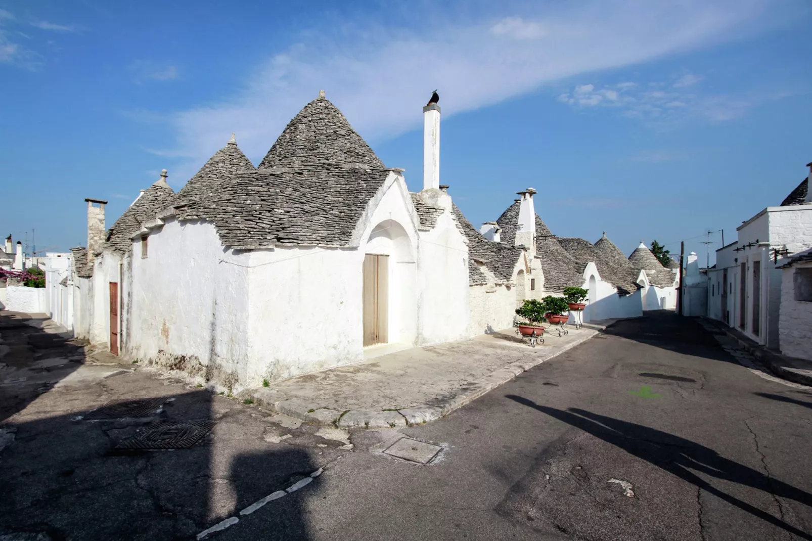 Trullo dell'Ulivo per Due-Areas summer 5km