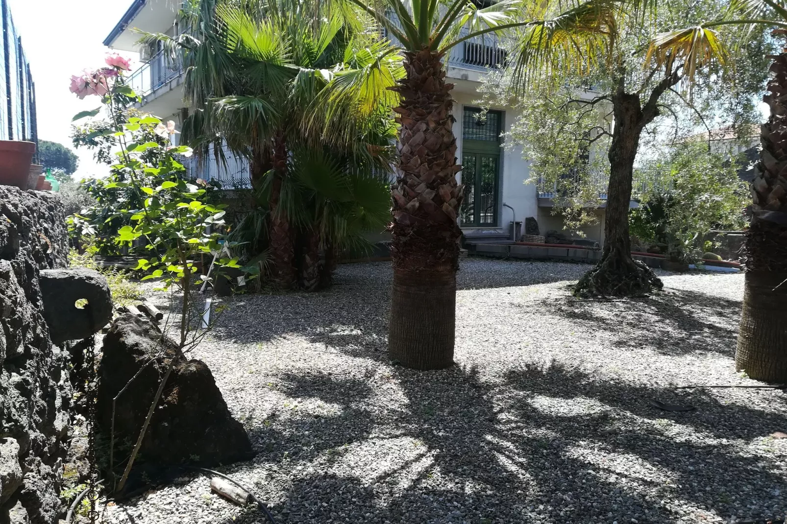 Suite vista Etna-Exterior summer