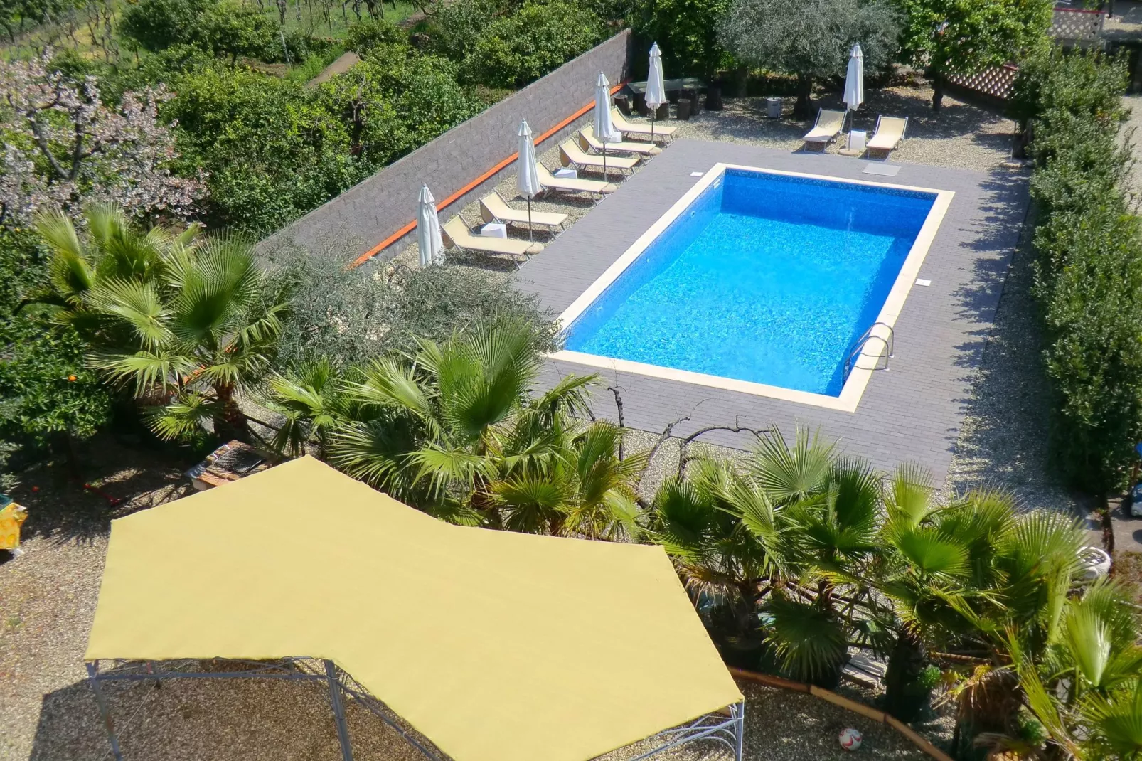 Appartamento Le Palme-Pool