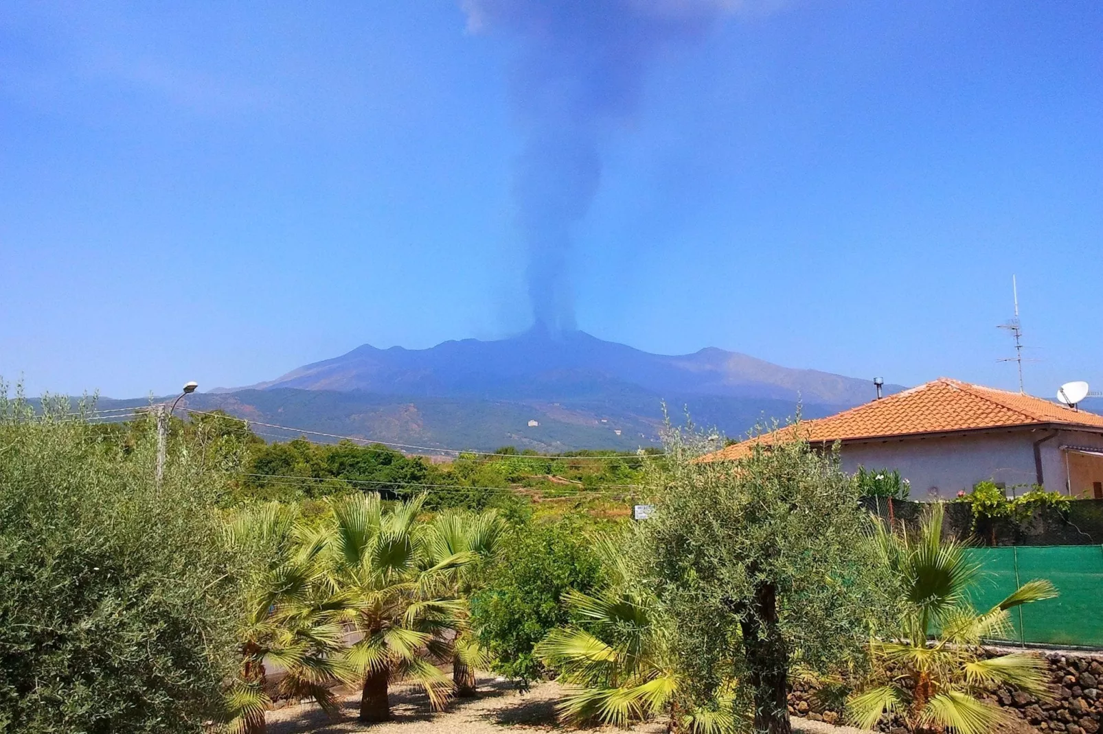 Appartamento Le Palme-View summer