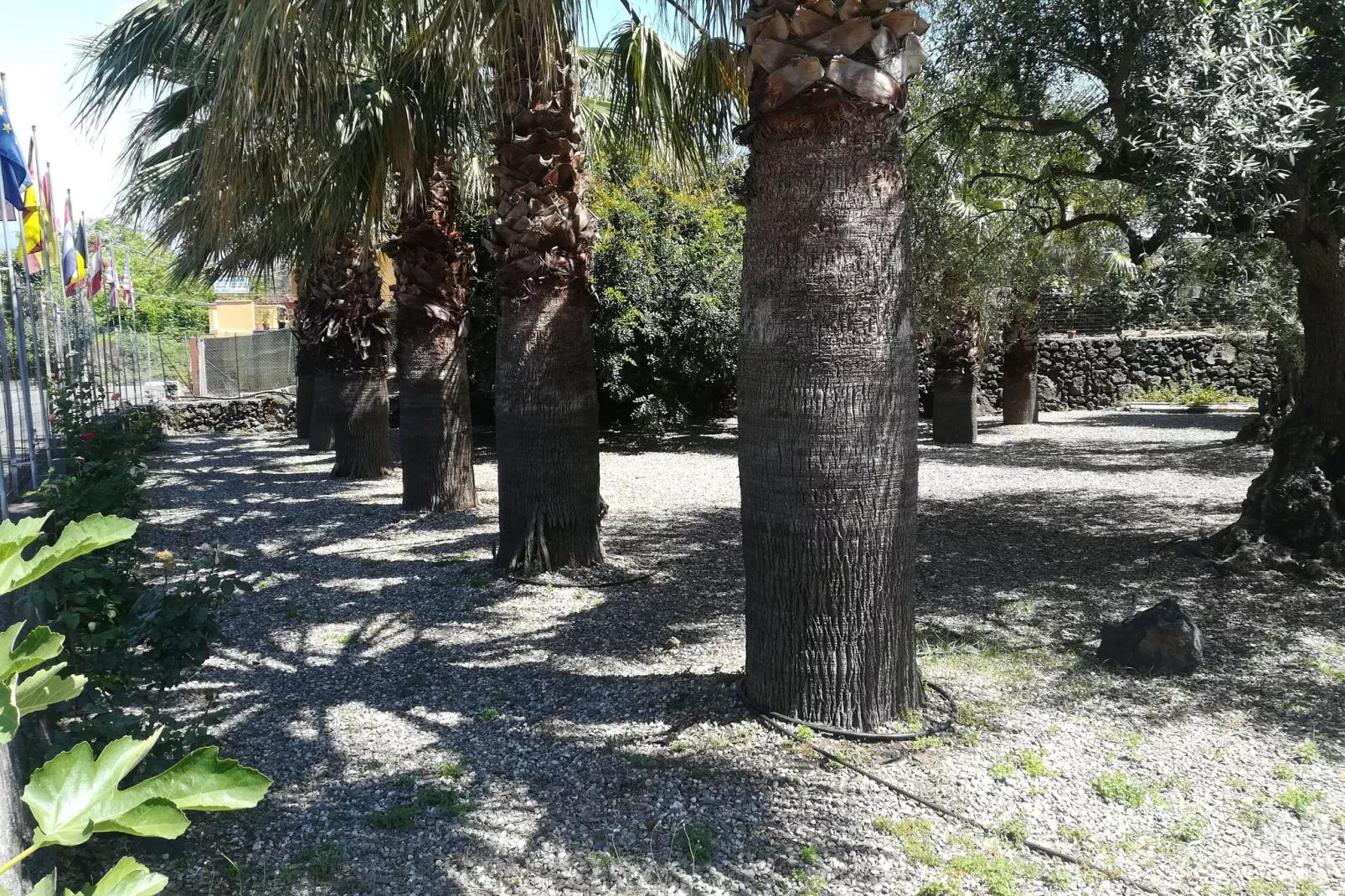Appartamento Le Palme-Exterior summer