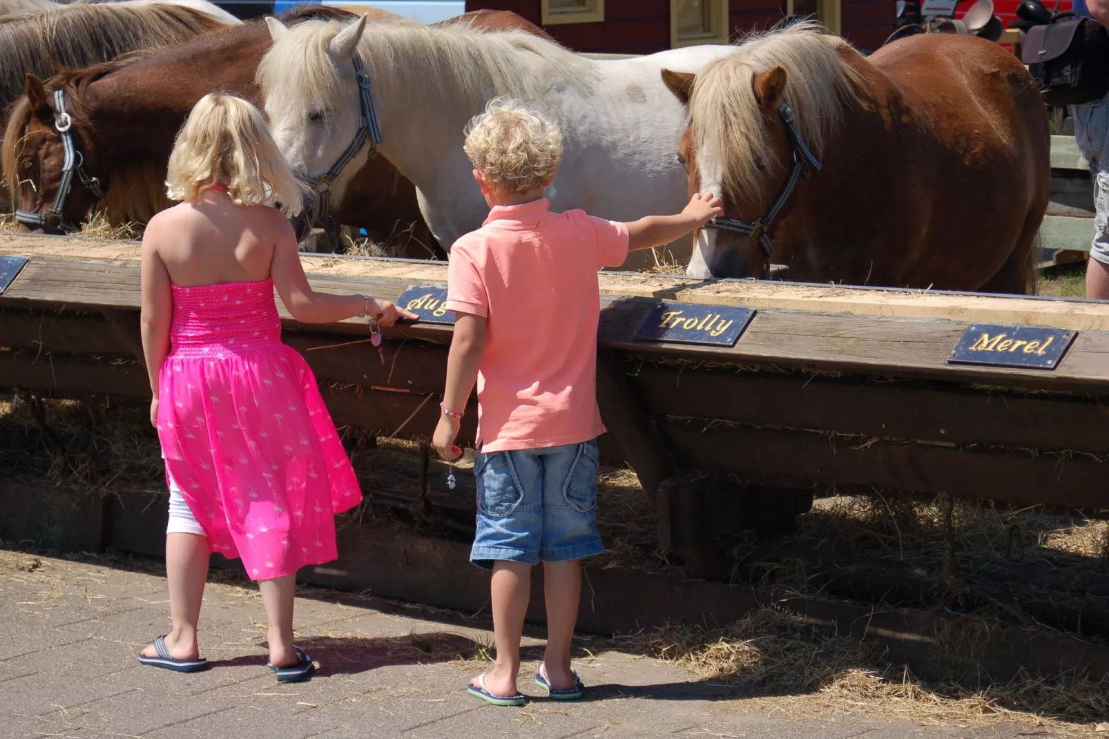 Kustpark Texel 5-Ambiente