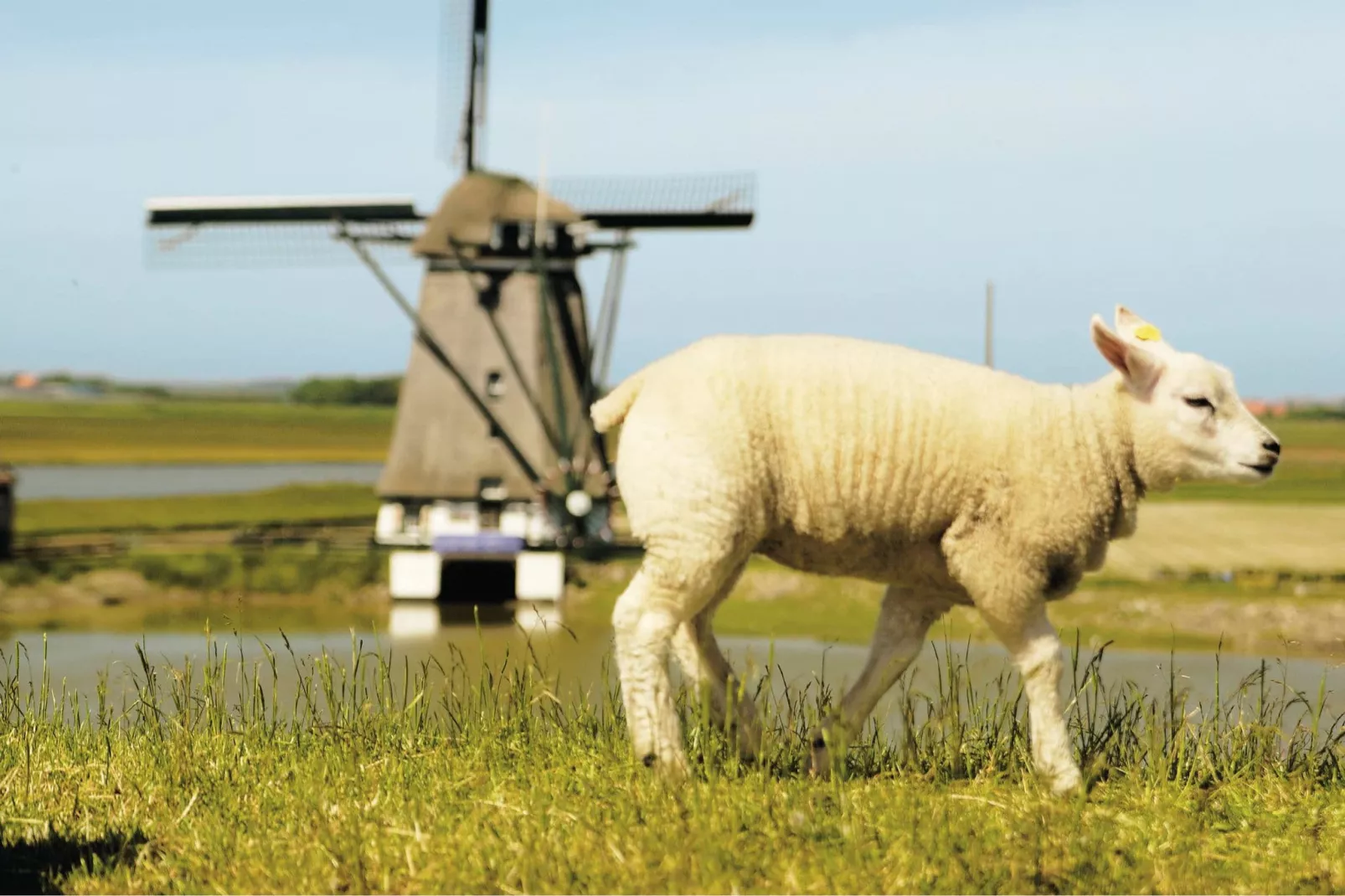 Kustpark Texel 5-Ambiente