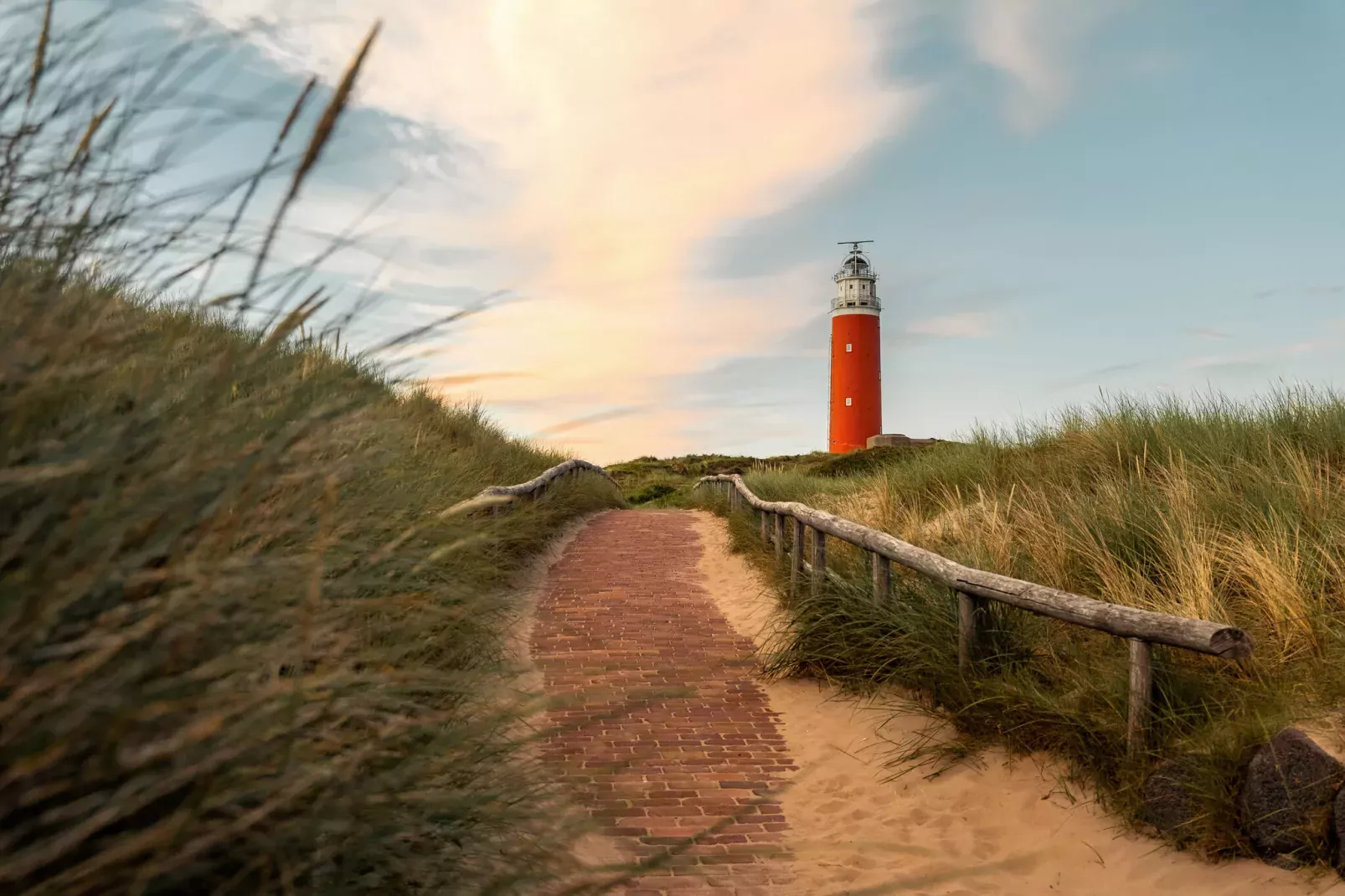 Bosch en Zee 3-Areas summer 1km