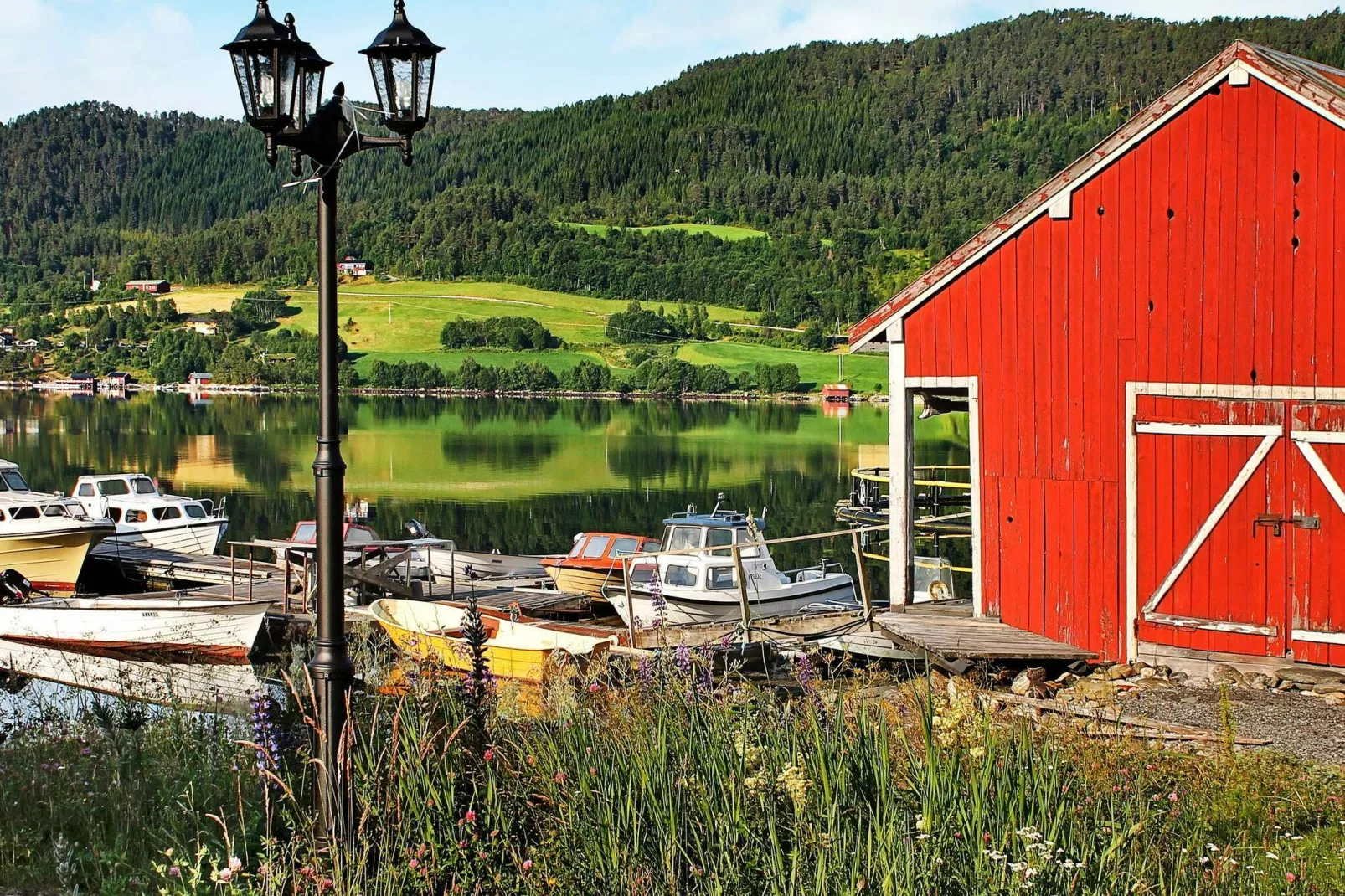 53381 VÅGLAND-Not tagged