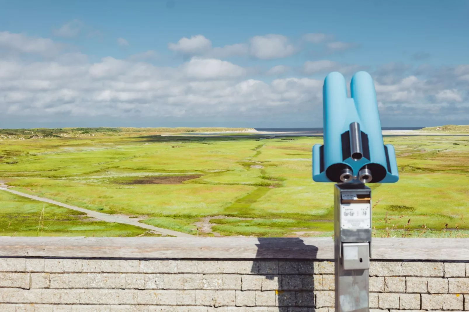 Bosch en Zee 1-Areas summer 1km
