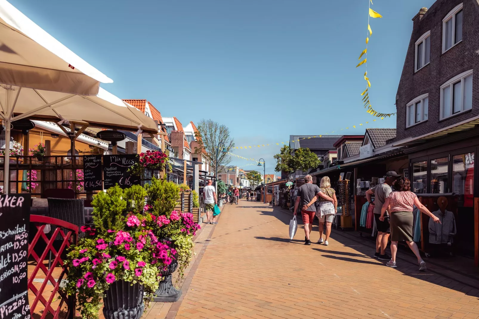 Bosch en Zee 1-Areas summer 1km